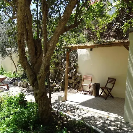 Graa Palace With Private Pool Garden Lissabon